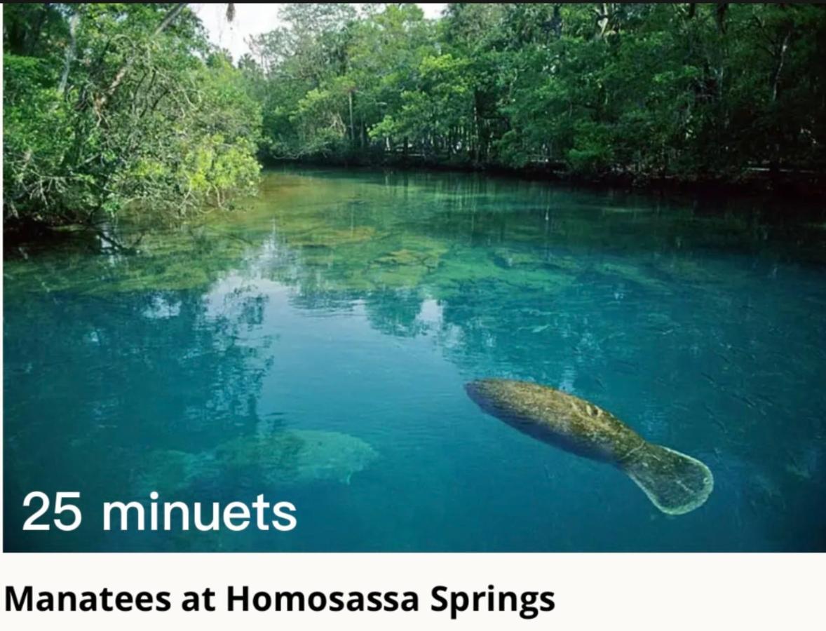 Willa Bonne Nuit Weeki Wachee Zewnętrze zdjęcie